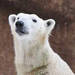 大阪市|おでかけイベント情報 動物園・図書館・行政イベント【2月19日更新】vol.2