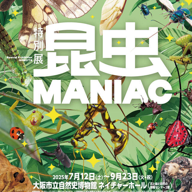 9/23まで開催！クセすご昆虫たちの競演！『昆虫MANIAC』　入場券5組10名様プレゼント！
