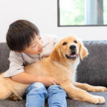 子どもがペットと暮らすメリット｜ともに育つ・育む！