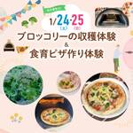 1/24(土)、25(日) ブロッコリー収穫体験＋ピザ窯焼き体験イベント参加者募集！