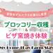 1/24(土)、25(日) ブロッコリー収穫体験＋ピザ窯焼き体験イベント参加者募集！