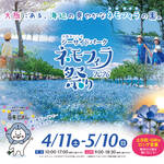 ＼まみたん会員読者プレゼントあり！／ 大阪春の風物詩「大阪まいしまシーサイドパーク」「ネモフィラ祭り2026」が開催！