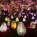 チームラボ ボタニカルガーデン 大阪 | teamLab / チームラボ